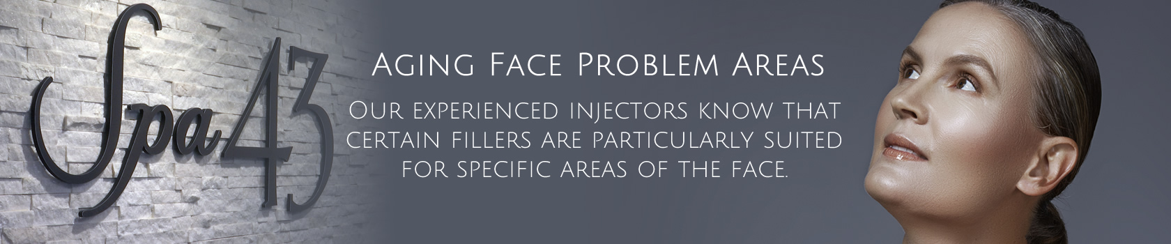 Aging Face Problems Areas